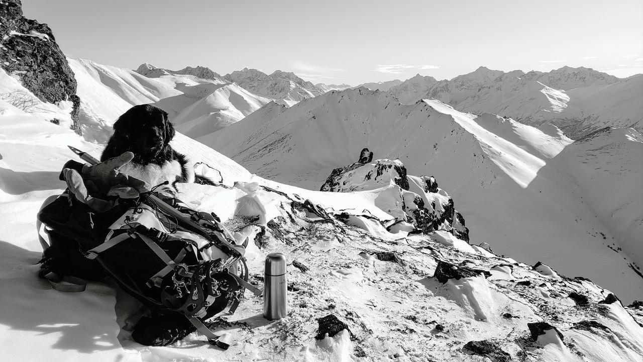 When You And Your Newf Find The Perfect Break Spot On A Climb. | Scrolller