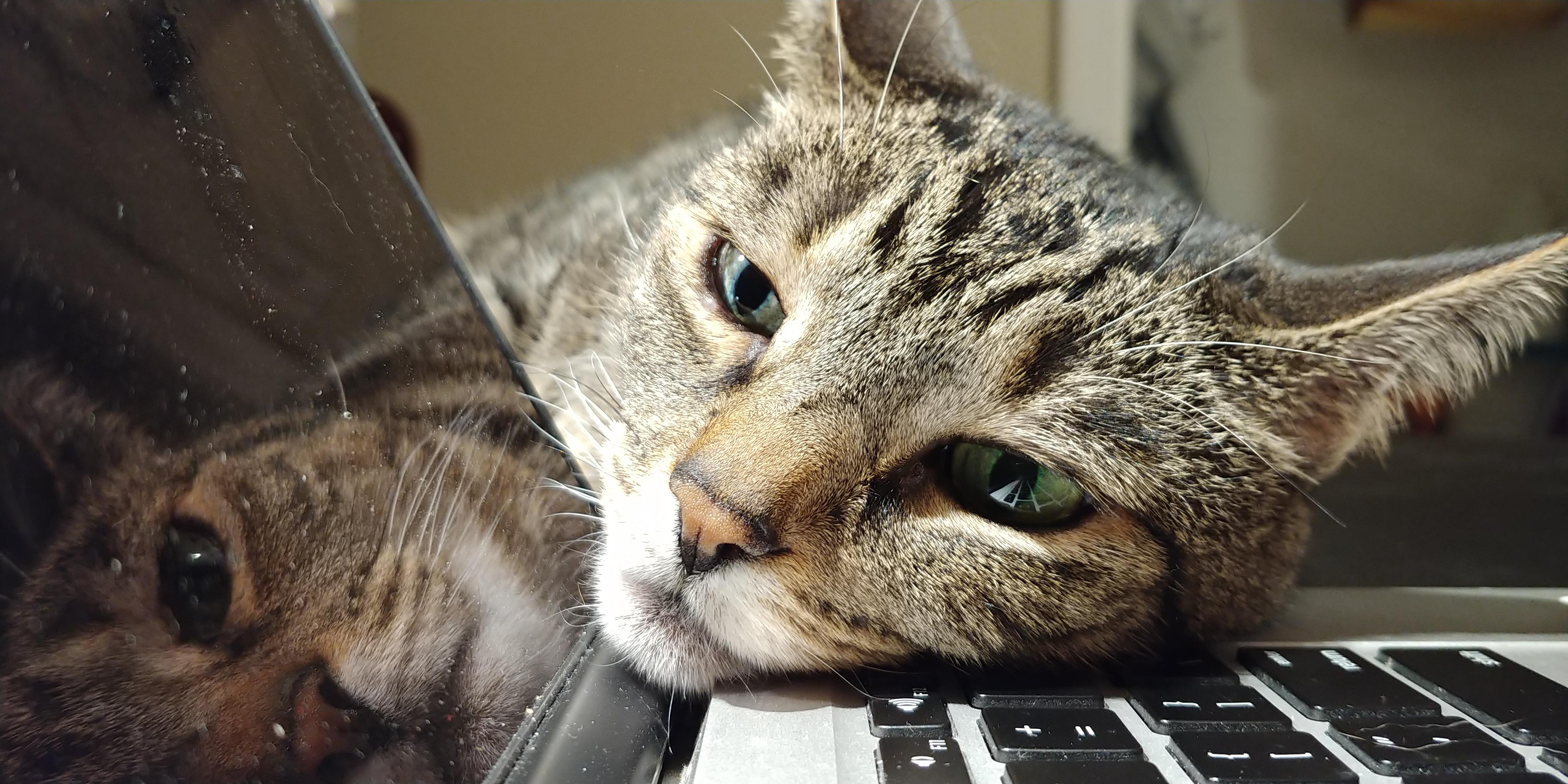 Work over yet? | Scrolller