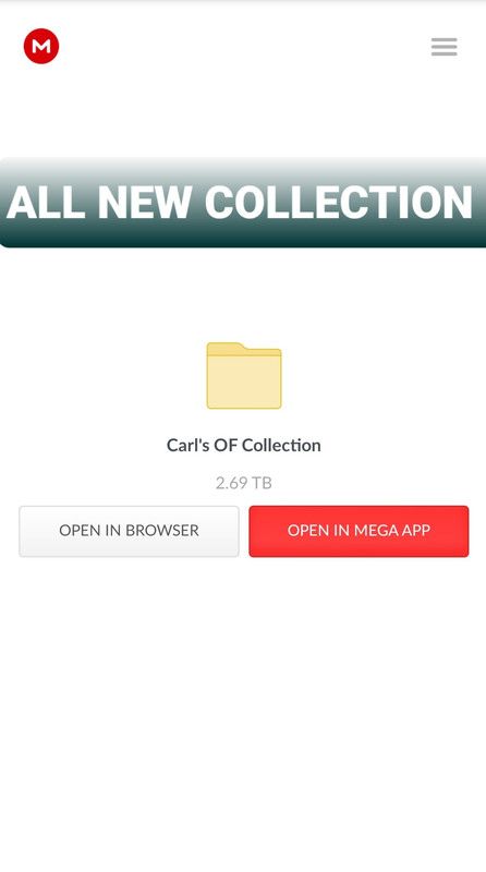 2.7 TB ONE OF THE BIGGEST ONLYFANS COLLECTION. GRAB IT QUICK LADS