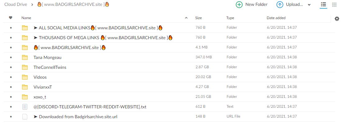 4 in 1 Mega Pack Archive By Badgirlsarchive - 48.55 GB 🟥 MEGA PACK LINK ...