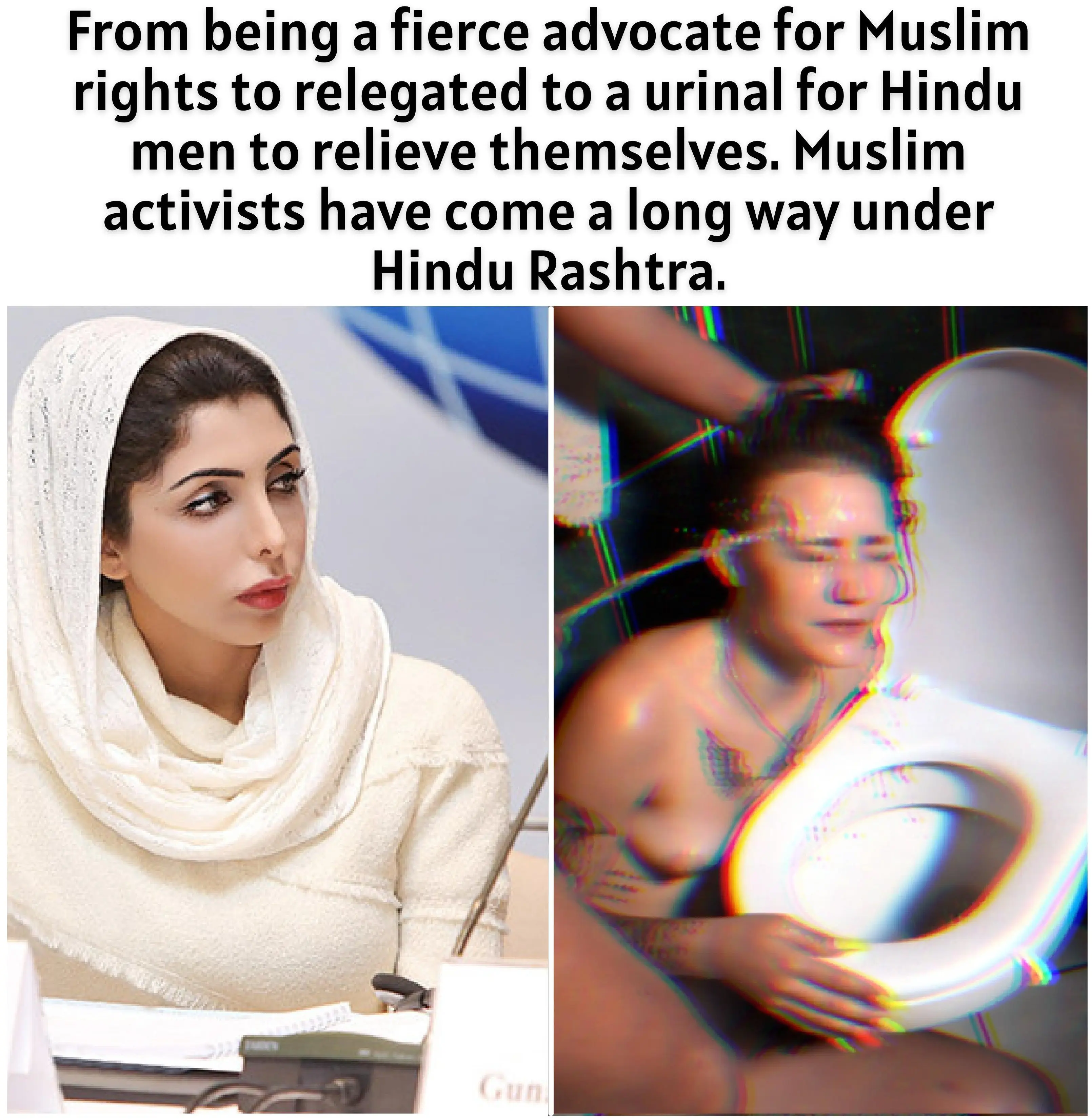 Meet the new age Muslim women: Activists by the day, urinal for Kafir Hindu men by night.