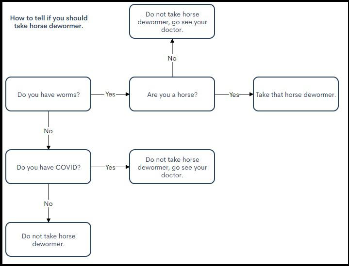 a-life-saving-flowchart-to-share-with-your-conservative-relatives