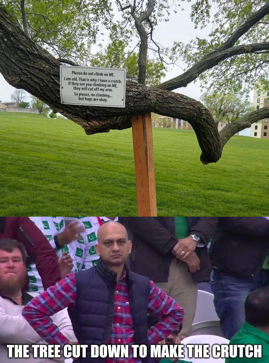 A Tree For A Tree Scrolller