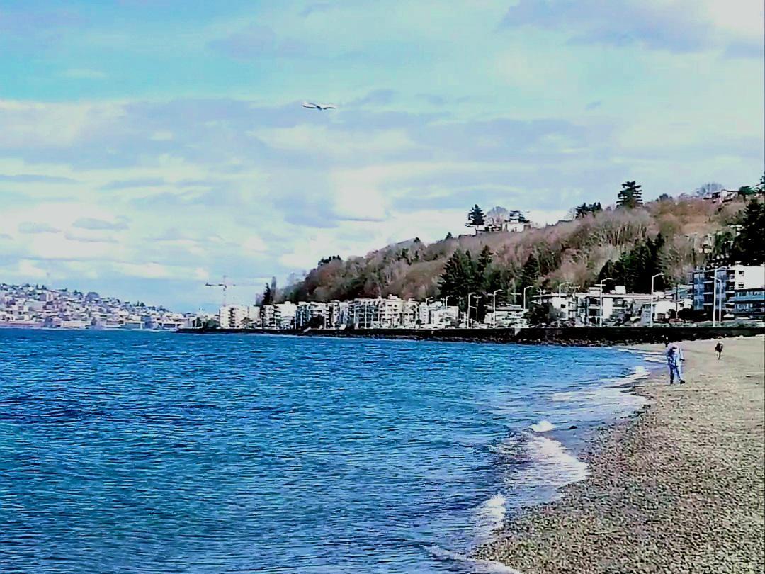 Alki Beach, Seattle | Scrolller