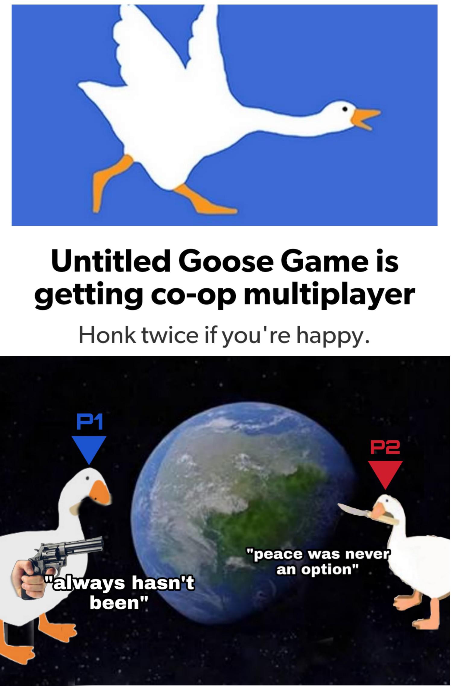 Another Show of the Weekend Goose Spectacular? | Scrolller