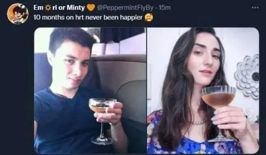 A trans girl with dark hair and pale skin showing a 10-month HRT transformation from a dark t-shirt to a floral dress.