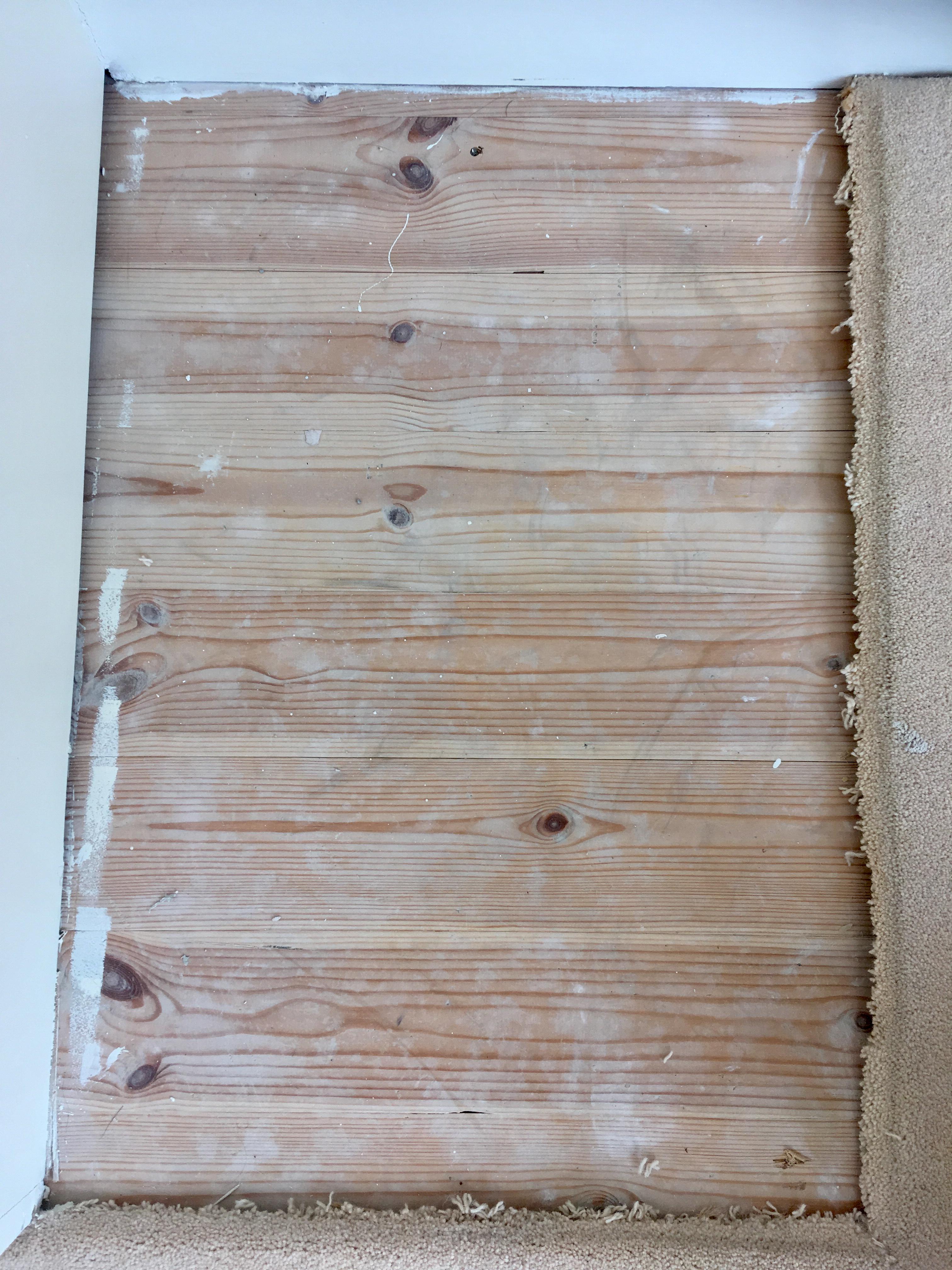 Best way to rip up carpet and treat the wood underneath? Carpet in my