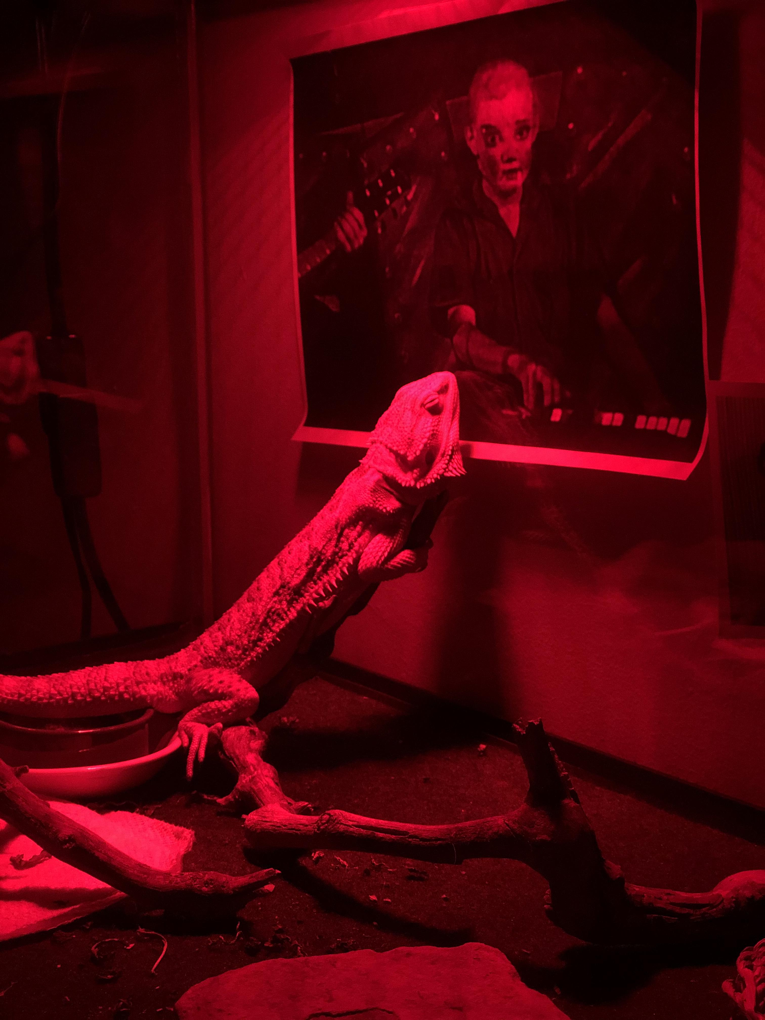 Booji boy cuddling his branch next to the original booji boy | Scrolller