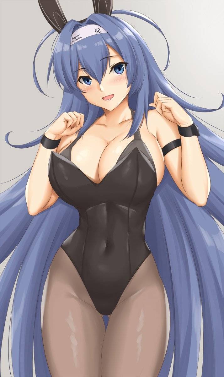 Bunny New Jersey Scrolller