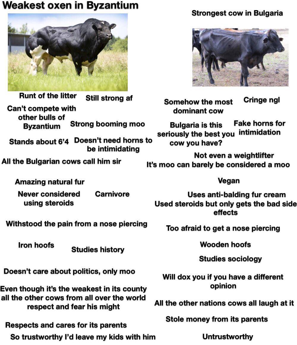 Byzantine Oxen 😩bulgarian Cow 😔 Scrolller 