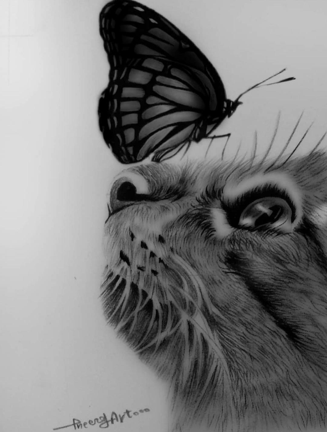 Cat charcoal pencil drawing | Scrolller