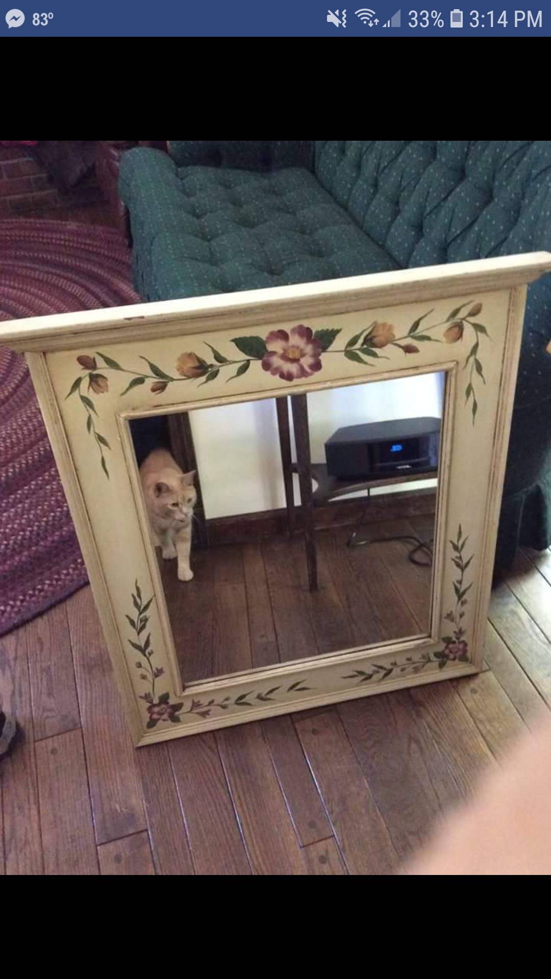 Cat not included | Scrolller