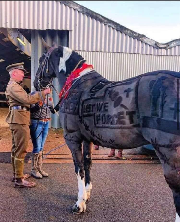 Clipped horse Scrolller