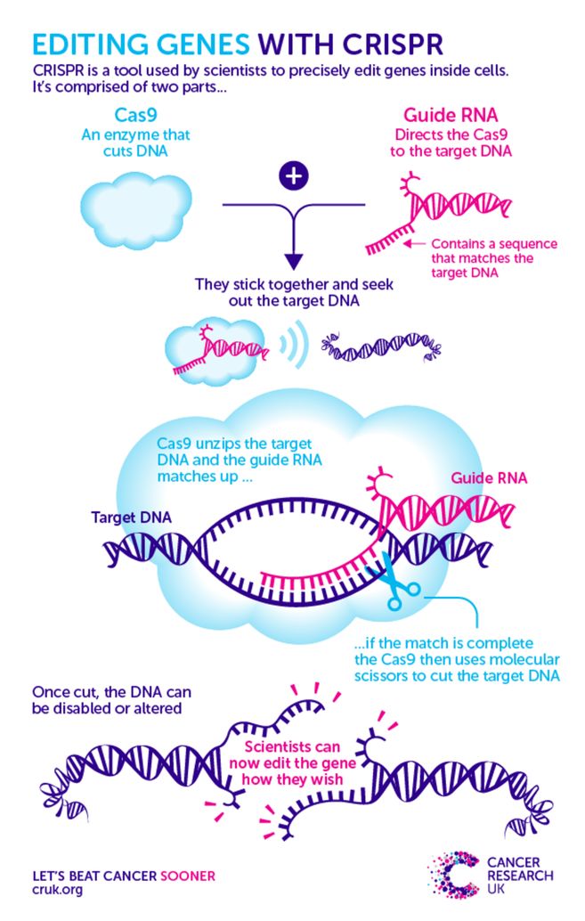 cool CRISPR infographic | Scrolller