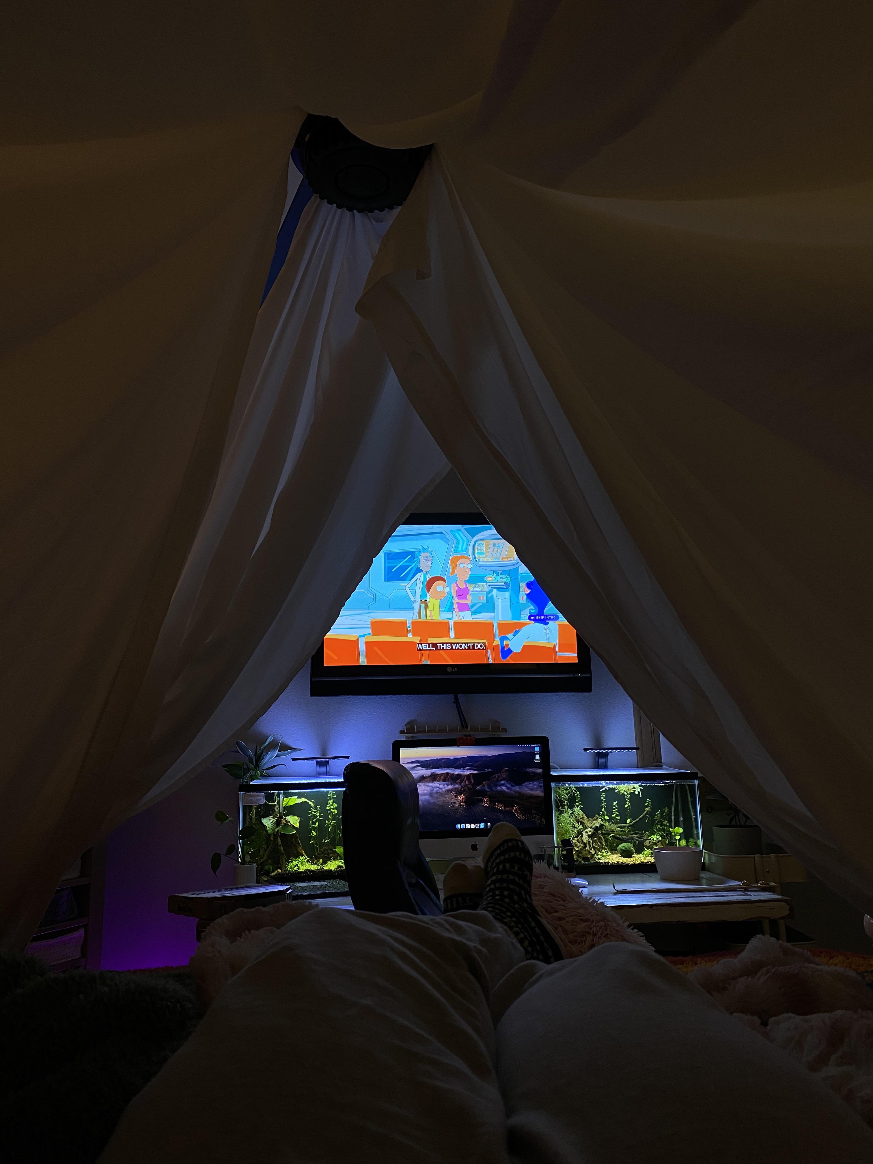Cozy fort I made over my bed Scrolller