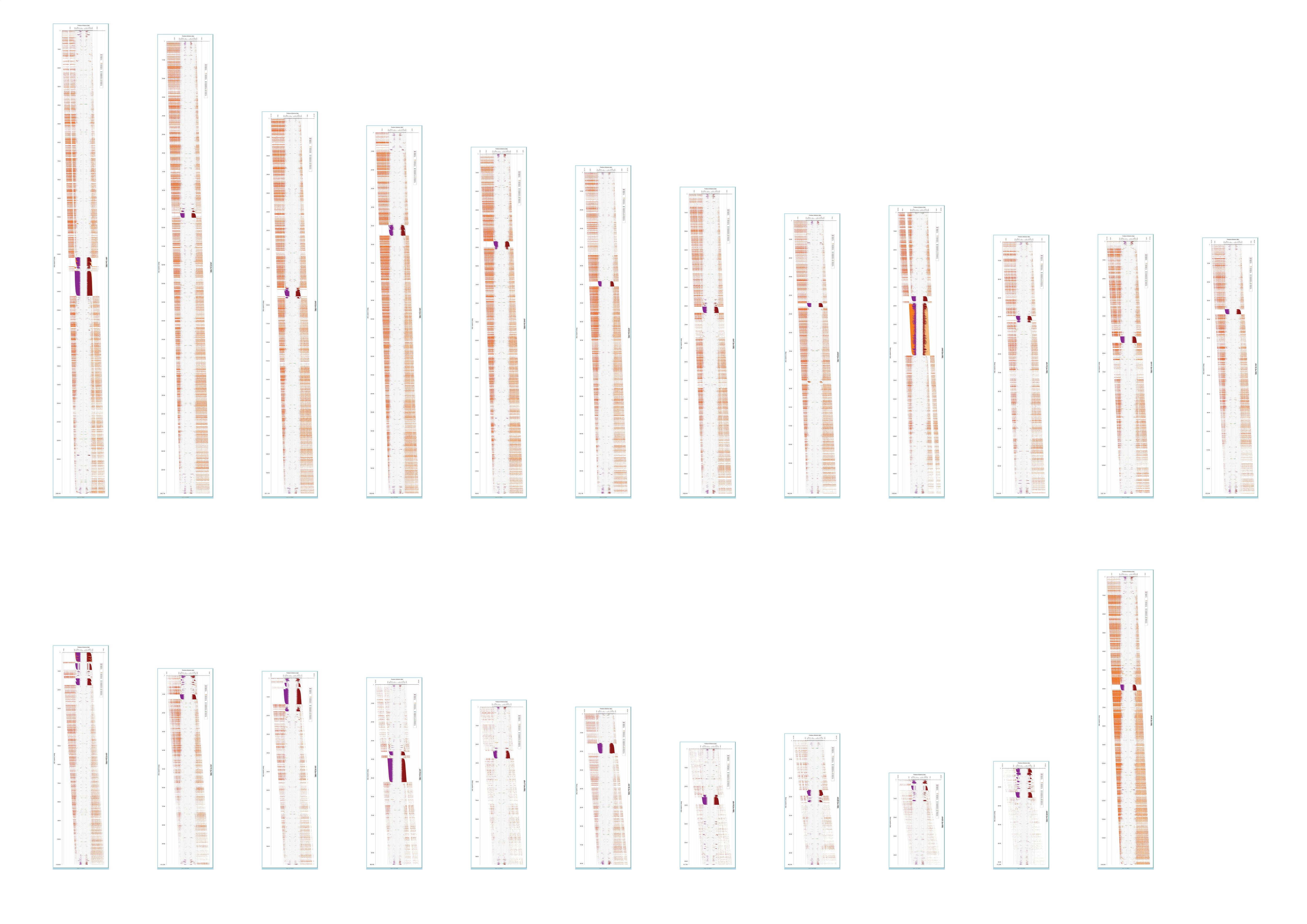 Digital Karyogram Derived From The Telomere-to-Telomere Consortium's ...