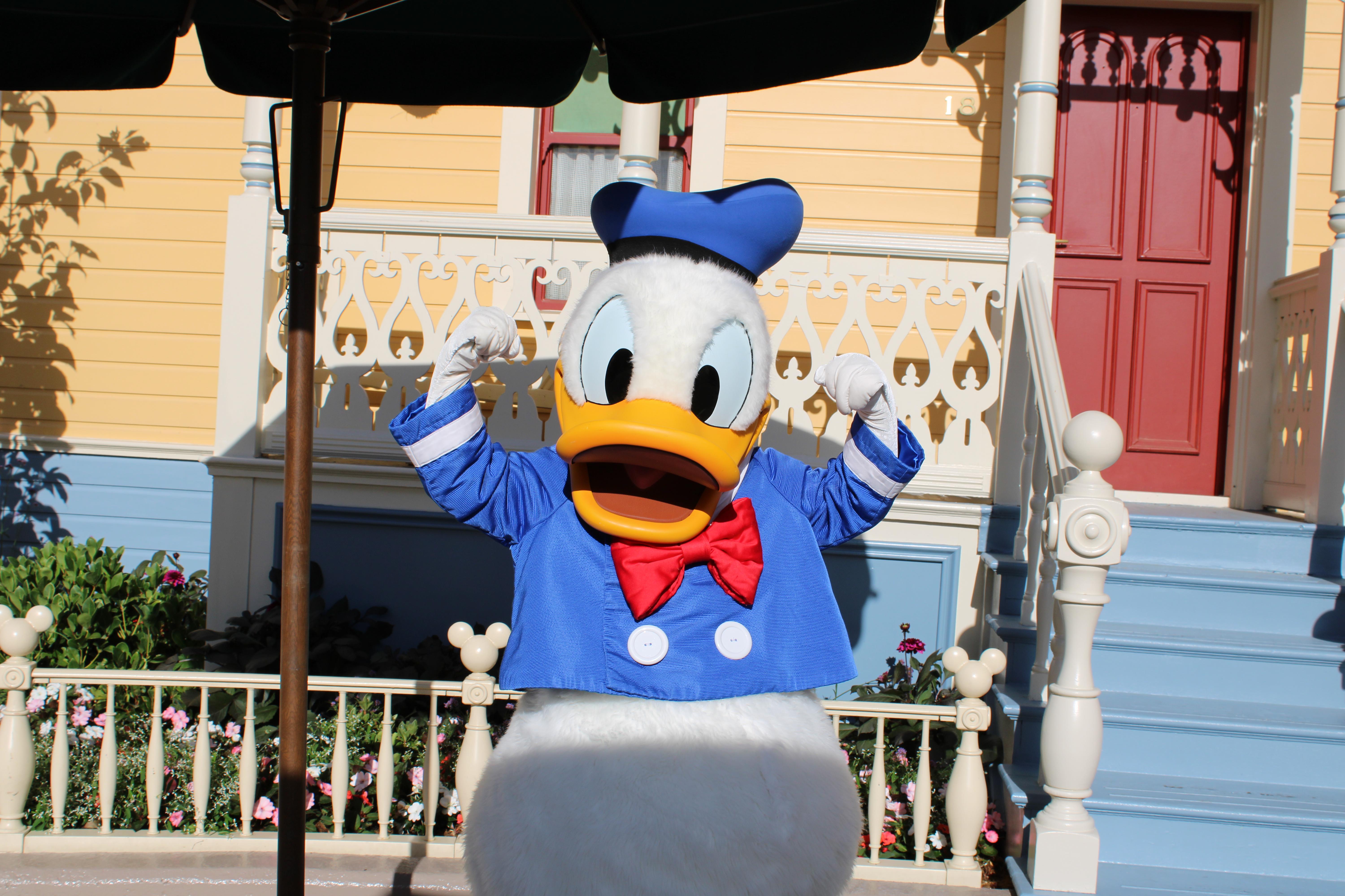 Donald Duck at Disneyland Paris | Scrolller