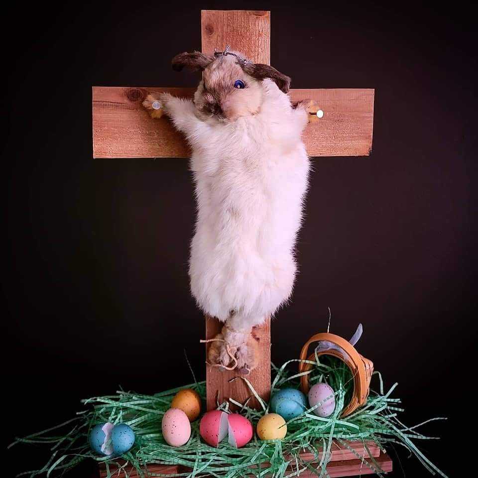 Easter bunny died for your sins | Scrolller