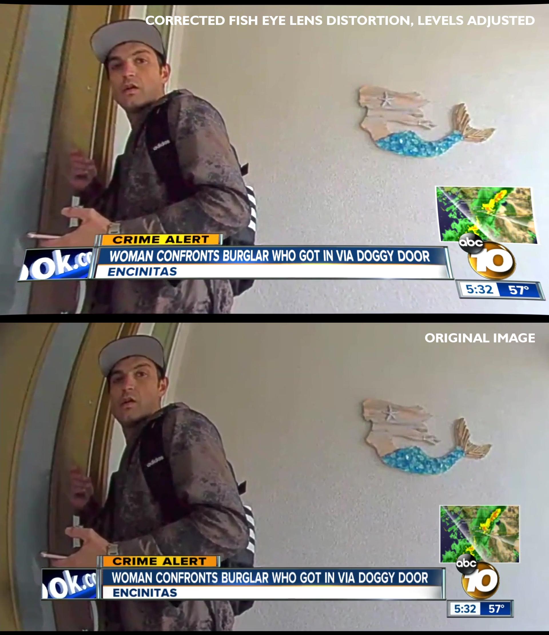 Encinitas Doggy Door guy Corrected image Scrolller