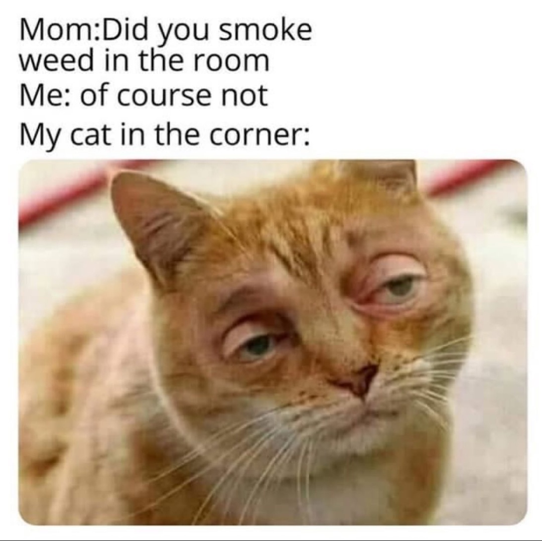 Eyes are red cause I was studying all night, how dare you? Scrolller