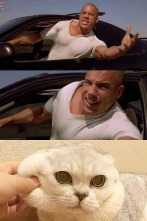 Family rule | Scrolller