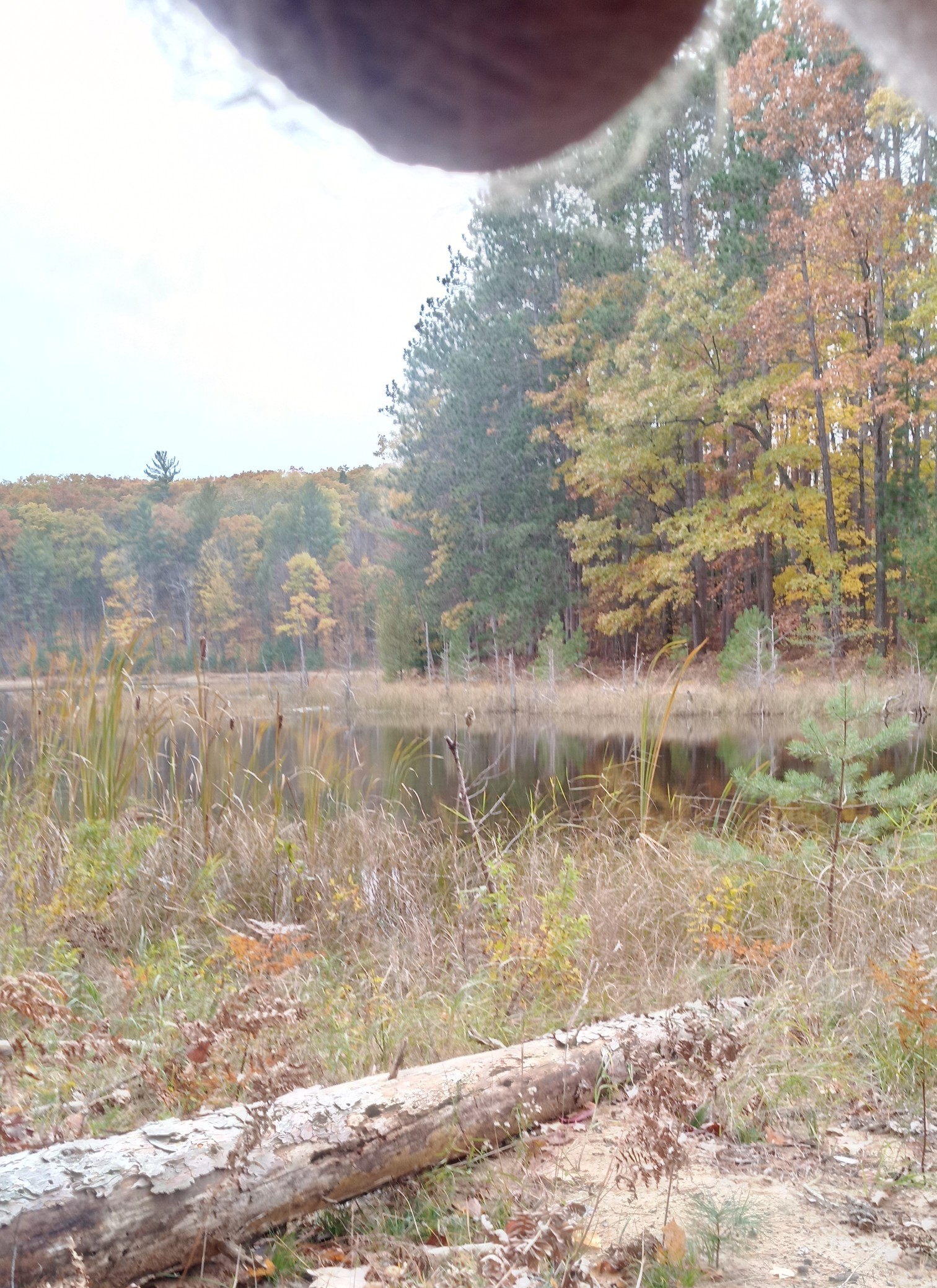 Fife Lake loop trail, MI Scrolller