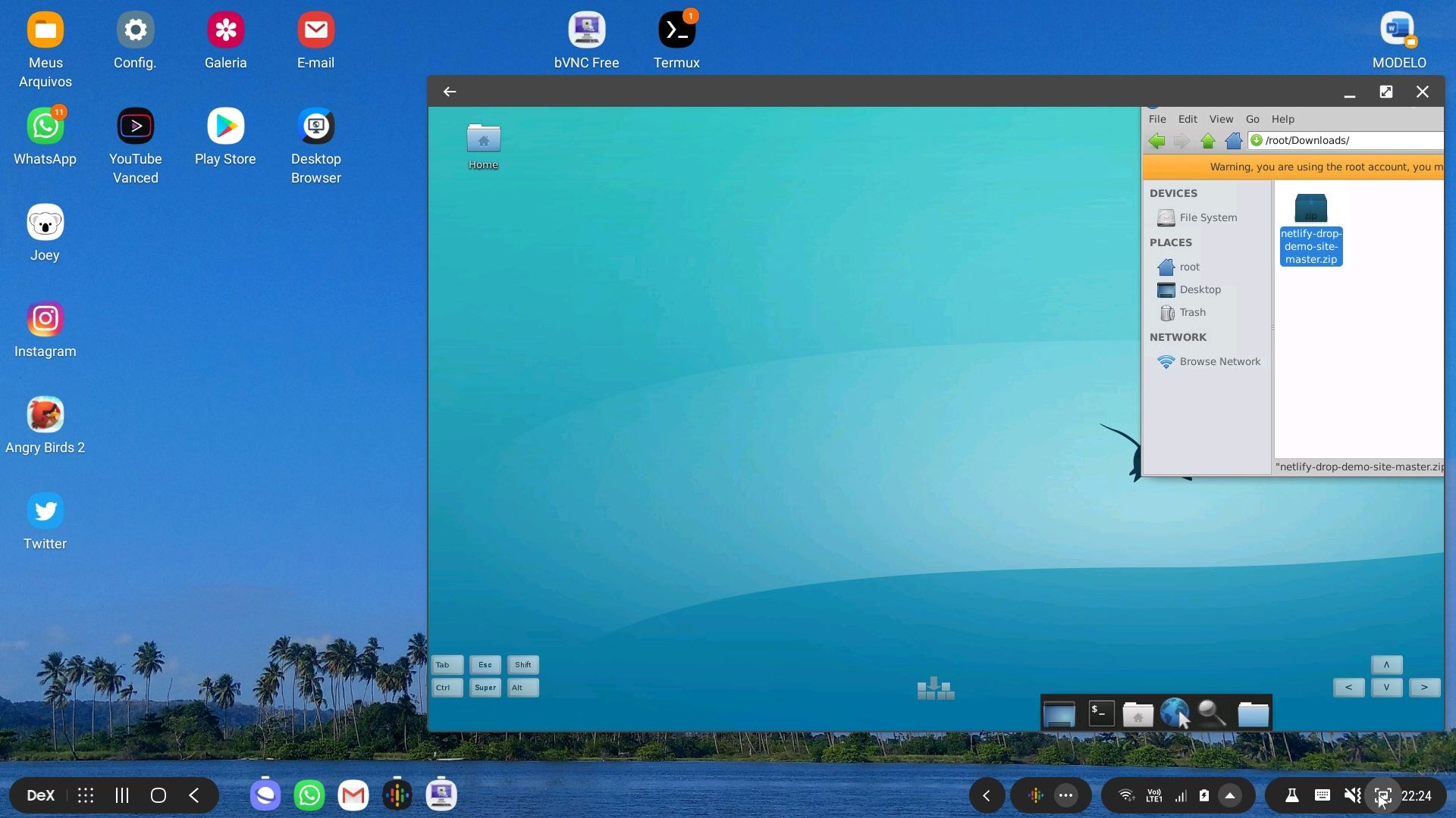Finally I installed Linux on Dex Scrolller