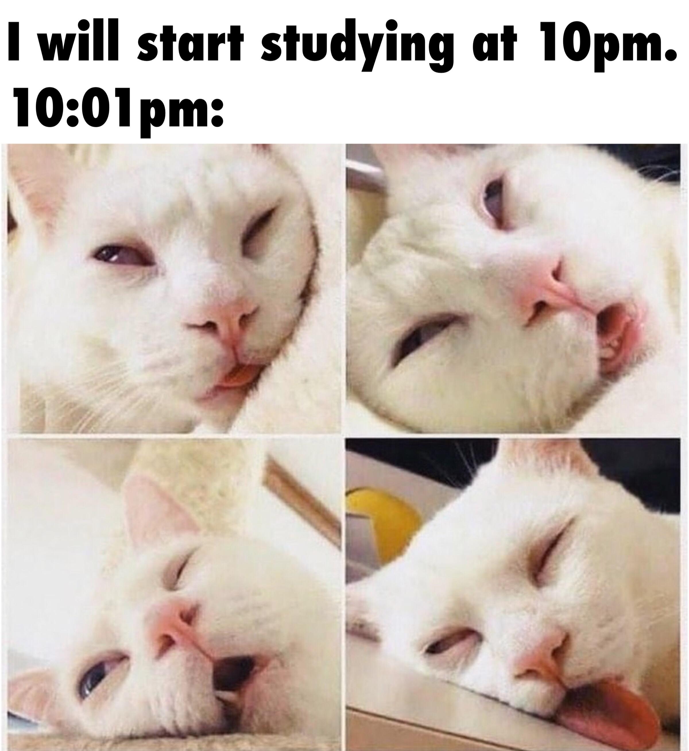 Finals Are Coming Good Luck Y All Scrolller