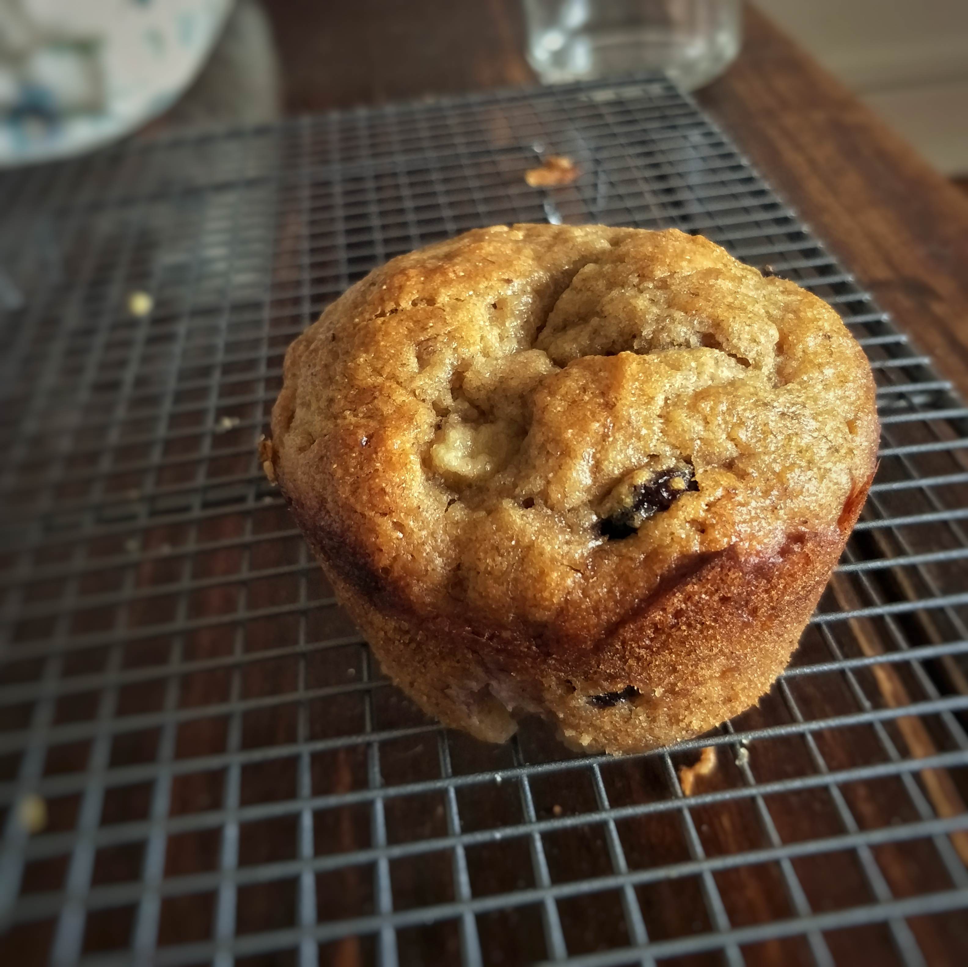 First muffin posting. Warning, extremely edible. Scrolller