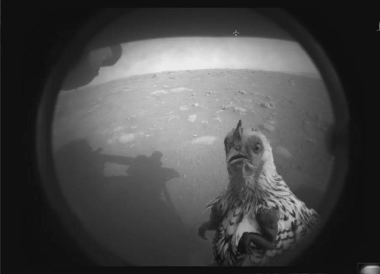 First sign of life on Mars! Scrolller