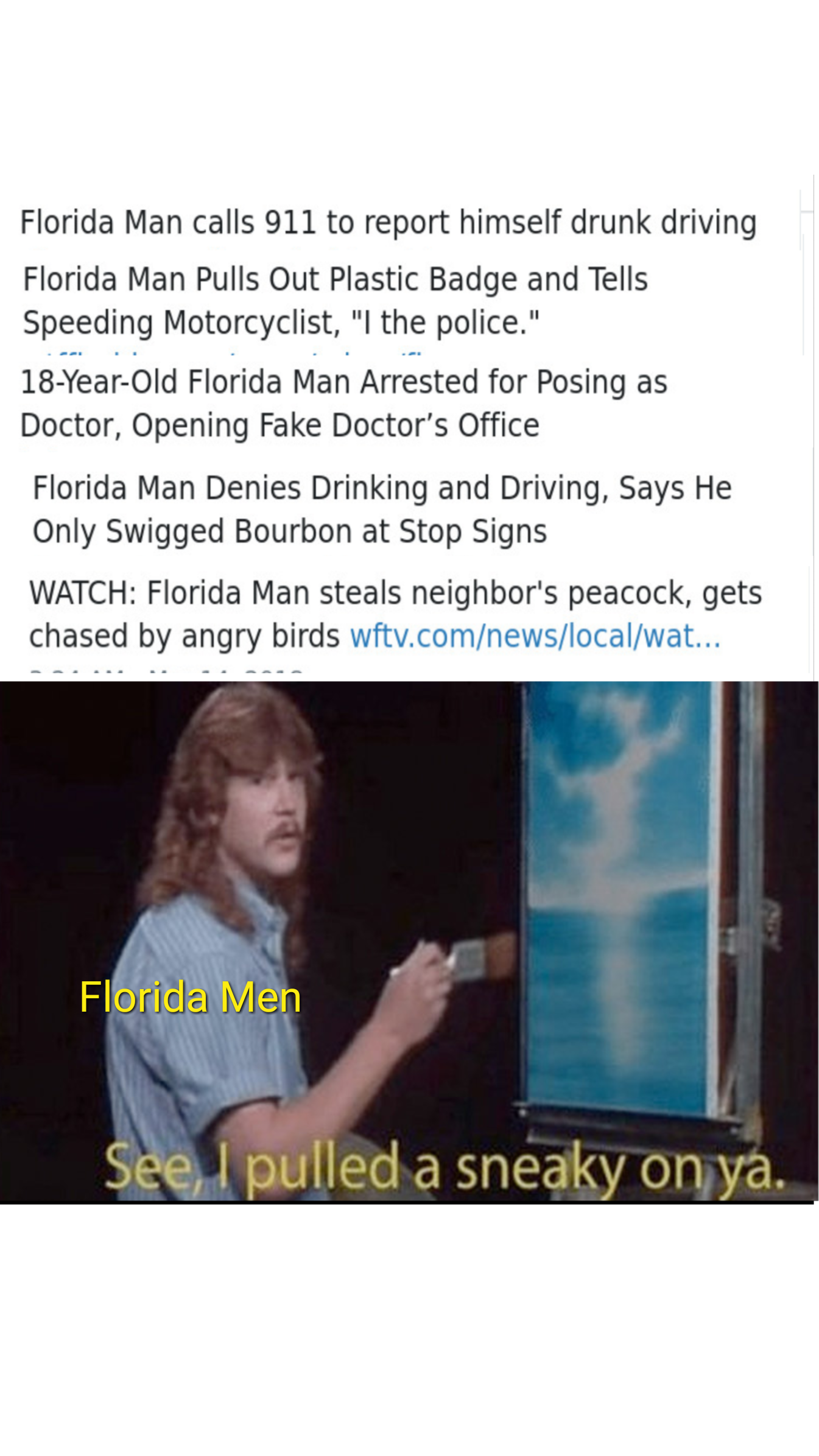 Florida man Scrolller