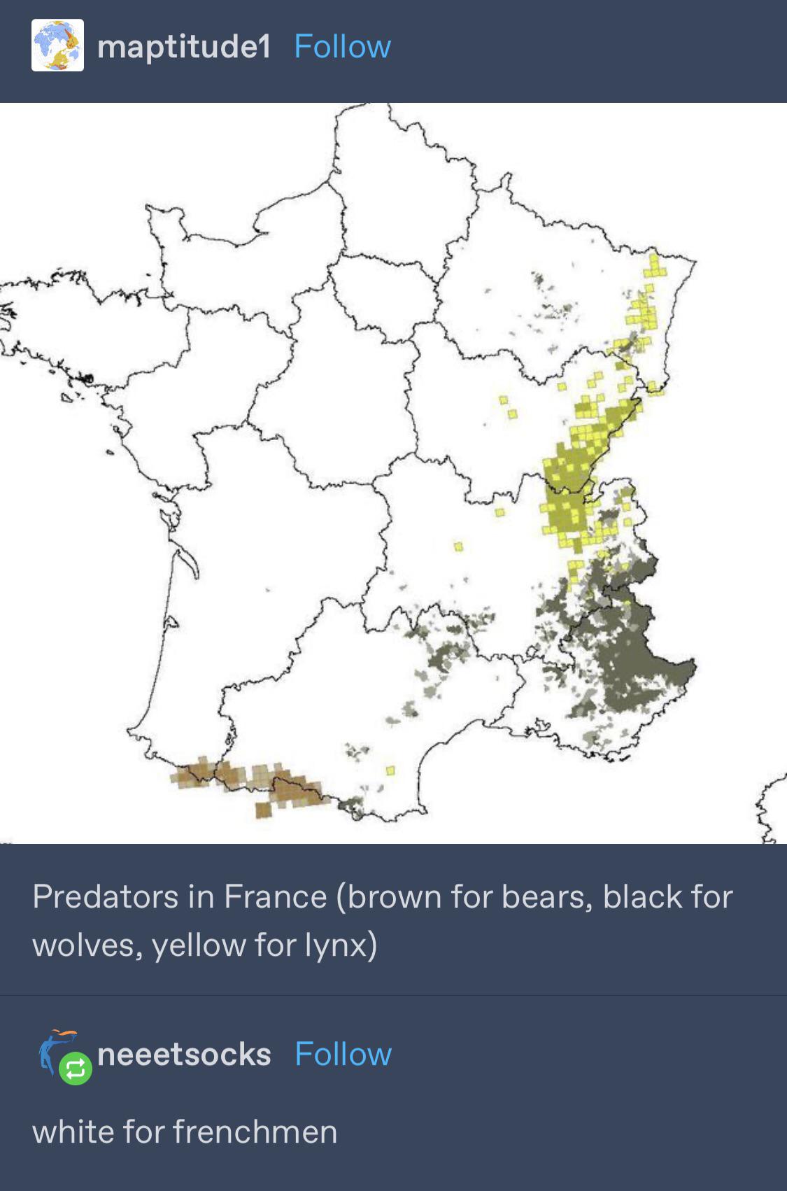 French Predators Scrolller