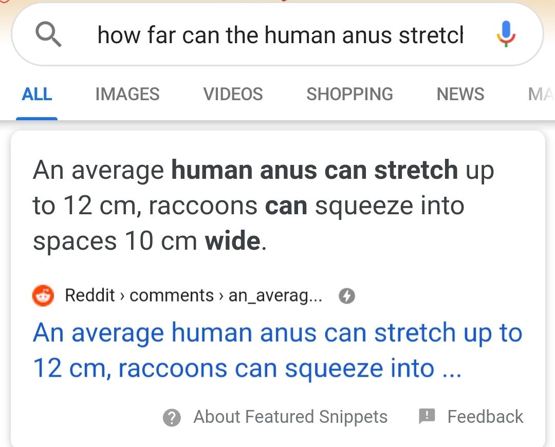 Fun Fact A Trash Panda Can Crawl Up Your Anus Scrolller