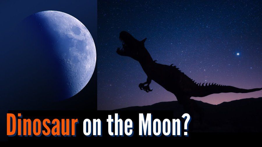 Fun fact According to NASA, there may be dinosaur remains on the Moon