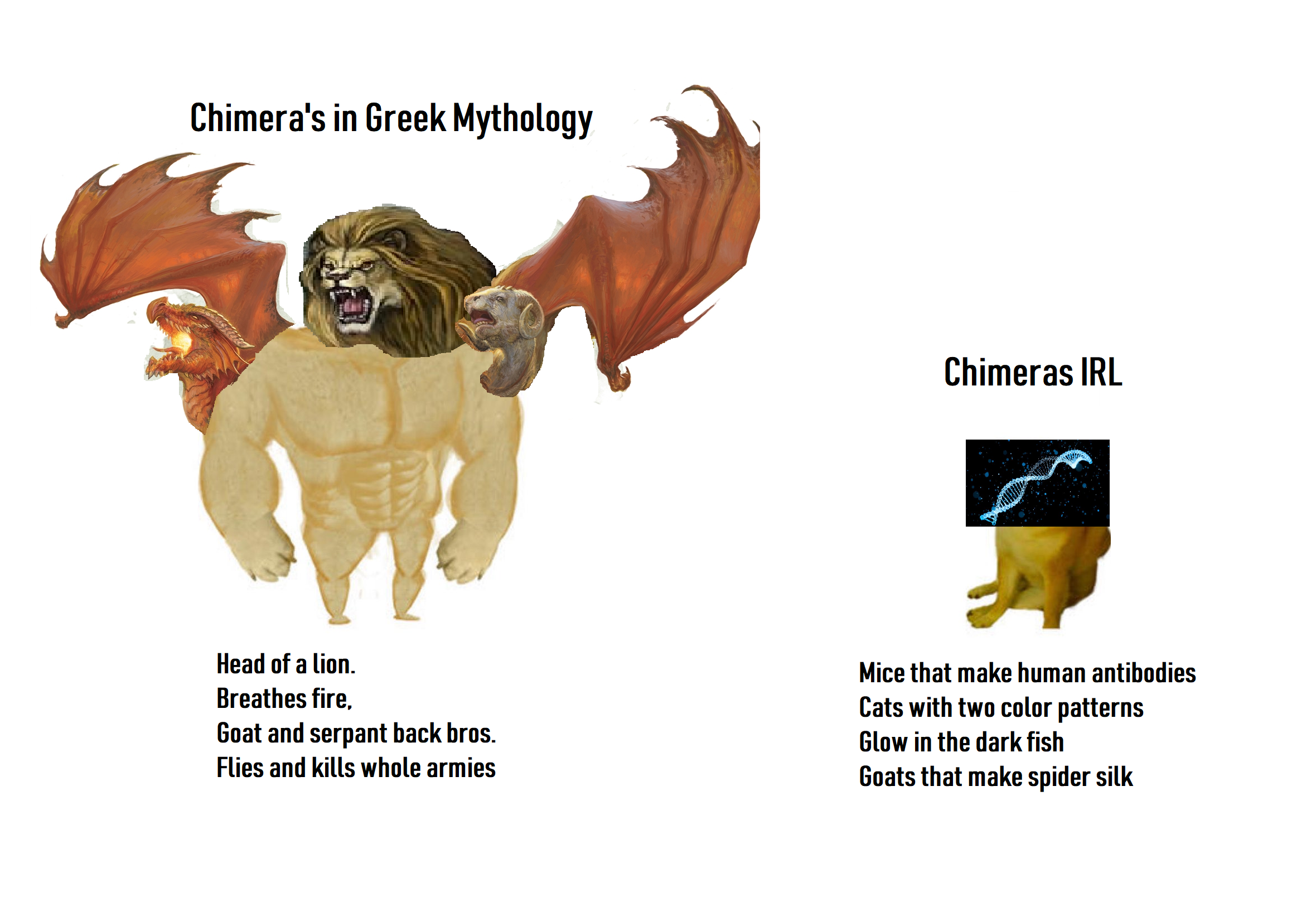 Genetic Chimeras are the real MVPs | Scrolller
