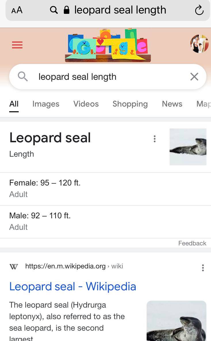 Google thinks seals are biblically huge Scrolller