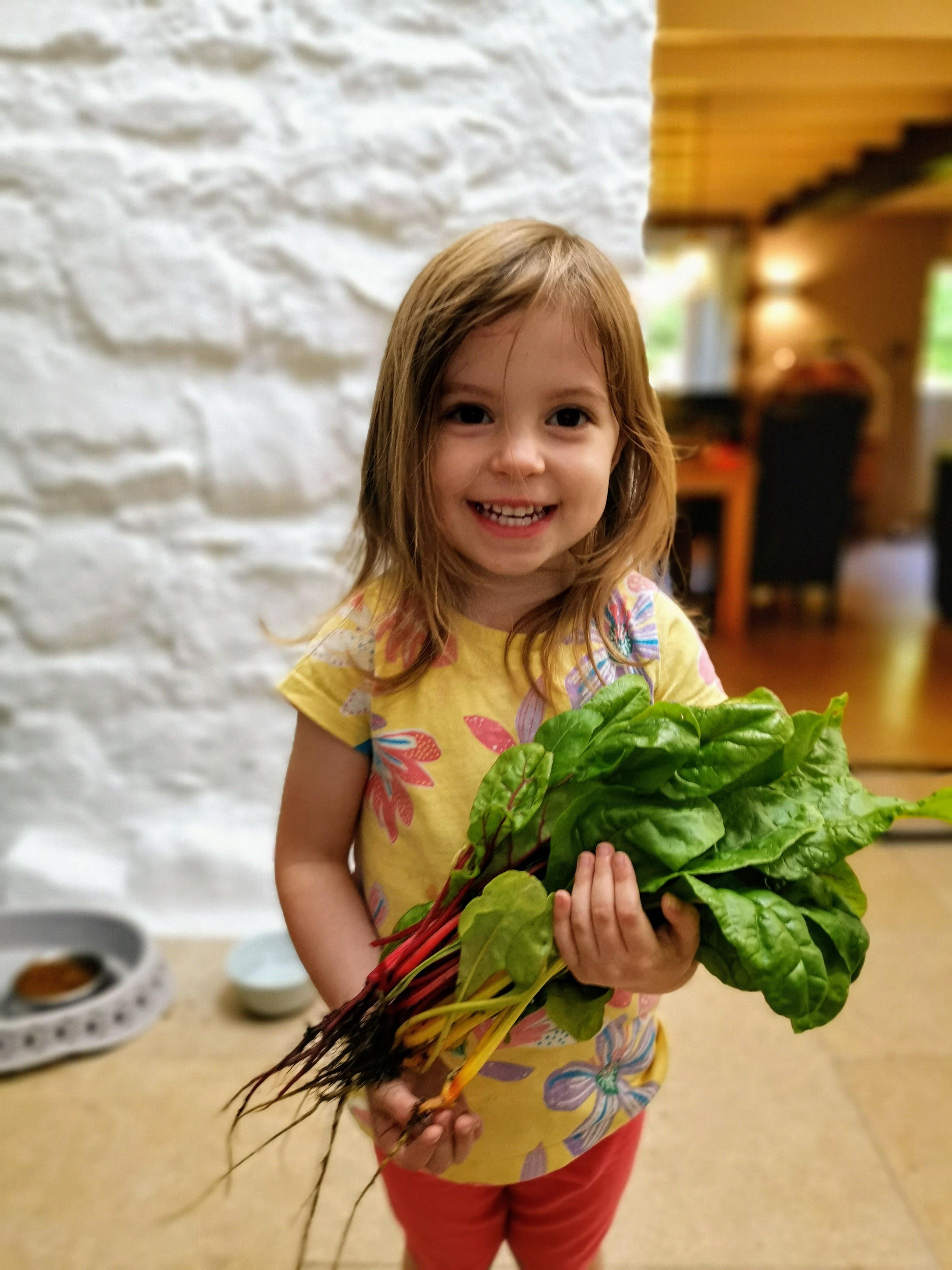 Her first grow from start to finish - rainbow chard | Scrolller