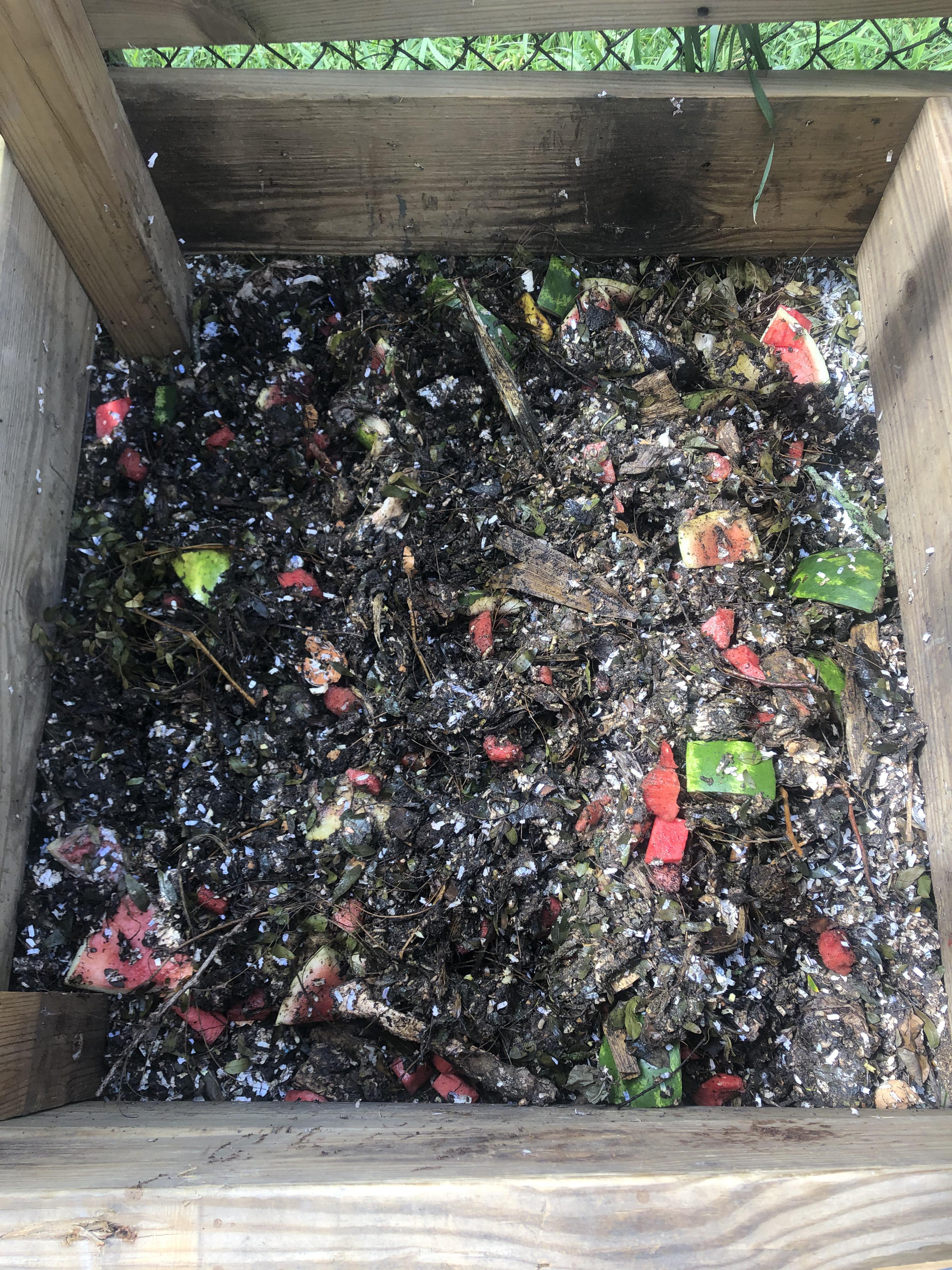 How does my first compost pile look? Advice? | Scrolller