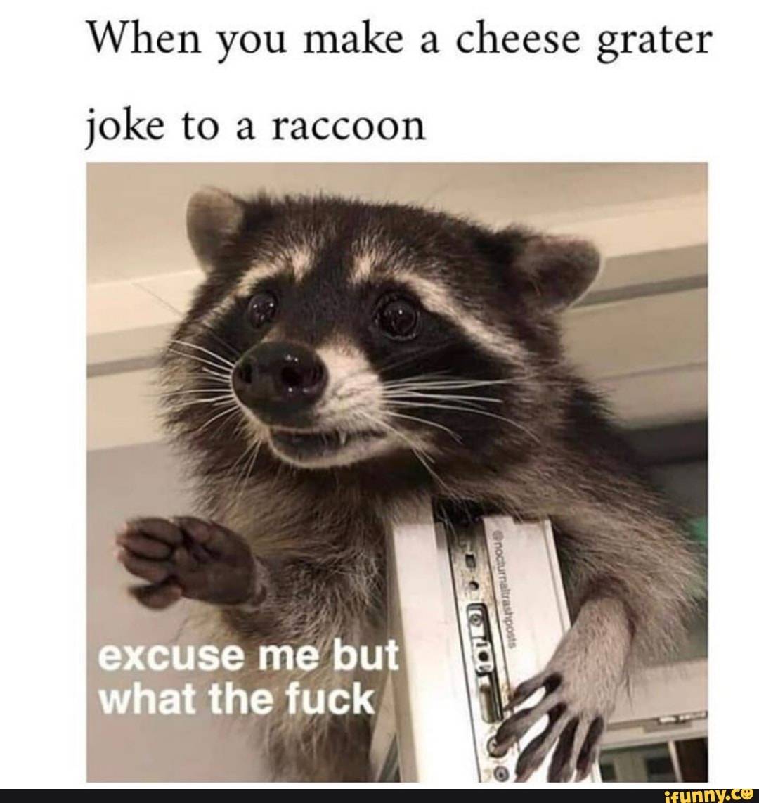 I have posted one cheese grater meme now its time for number 2 | Scrolller