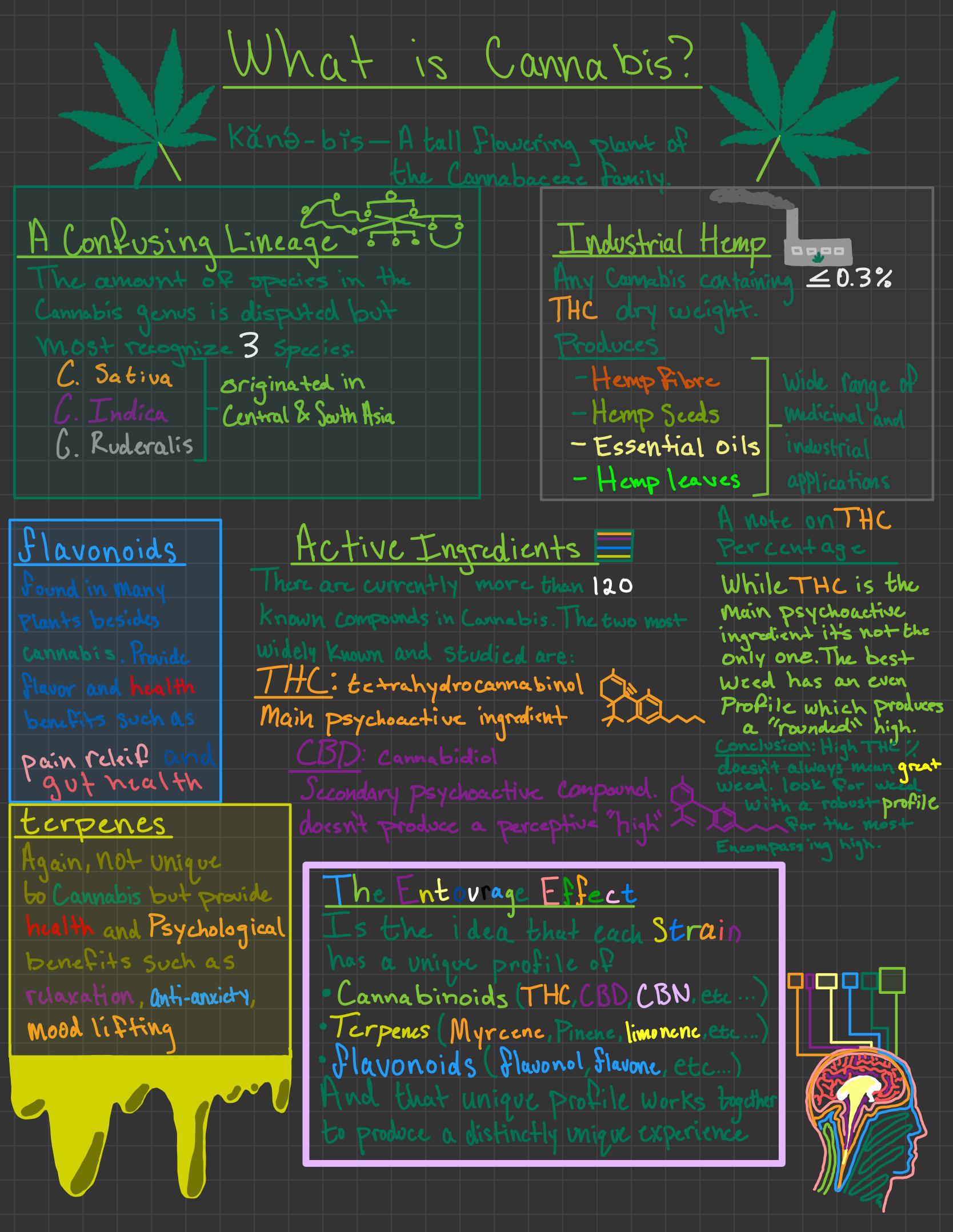 i-made-an-infographic-as-a-sort-of-introduction-to-weed-hope-you-guys