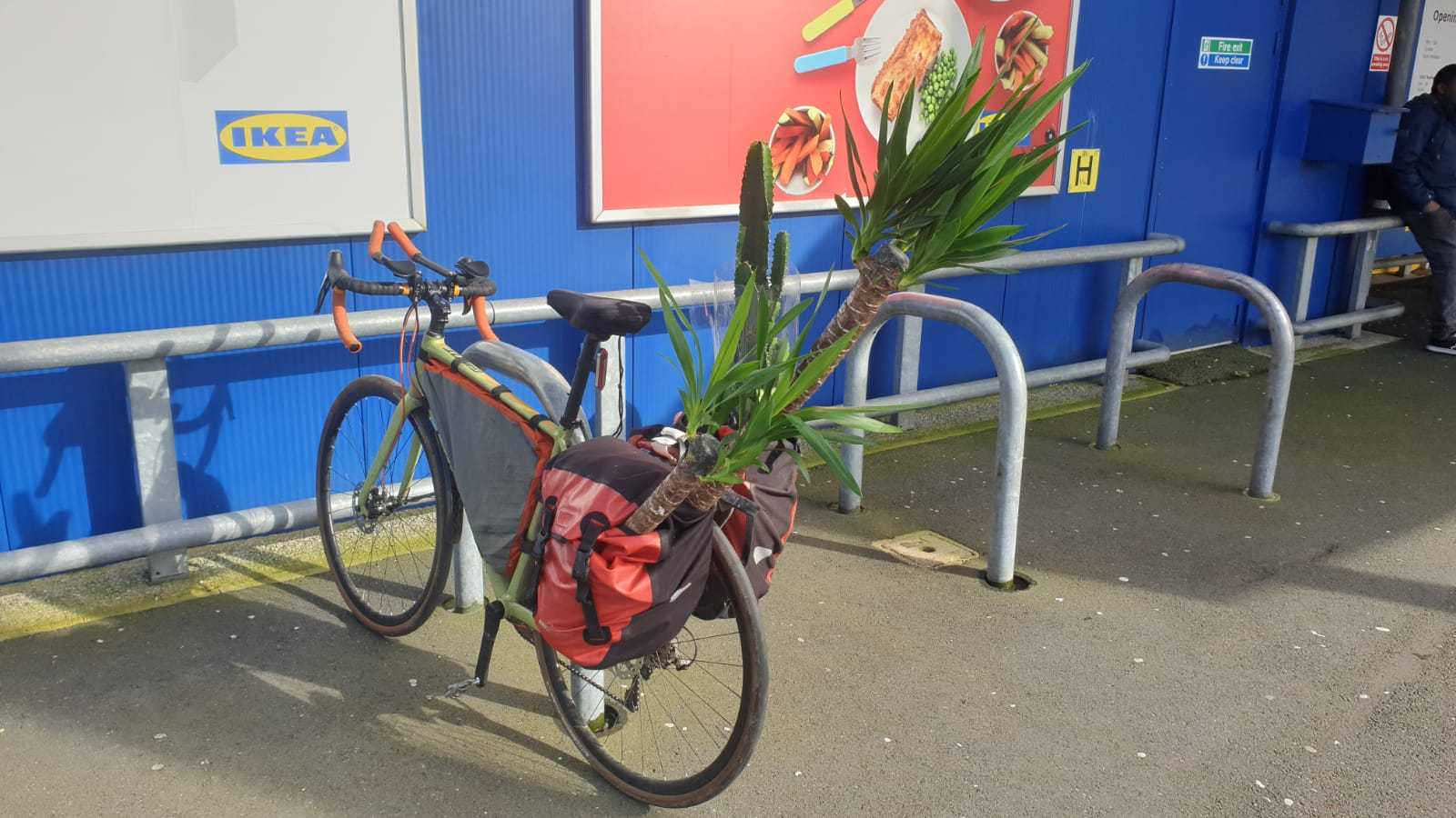 Ikea is shutting down in the UK and their plants are 75 off. I couldn