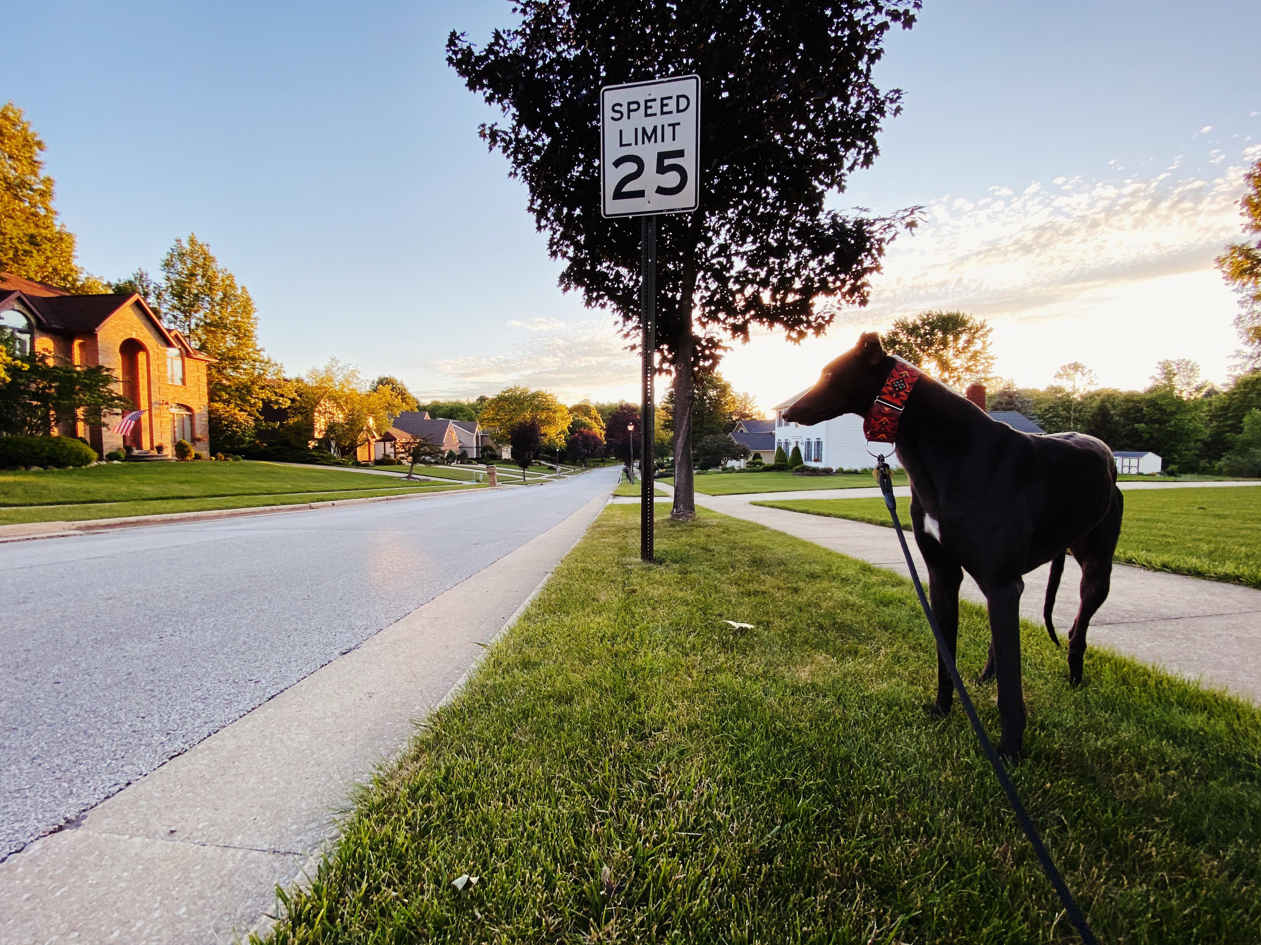 Imagine needing to abide by speed limits! | Scrolller