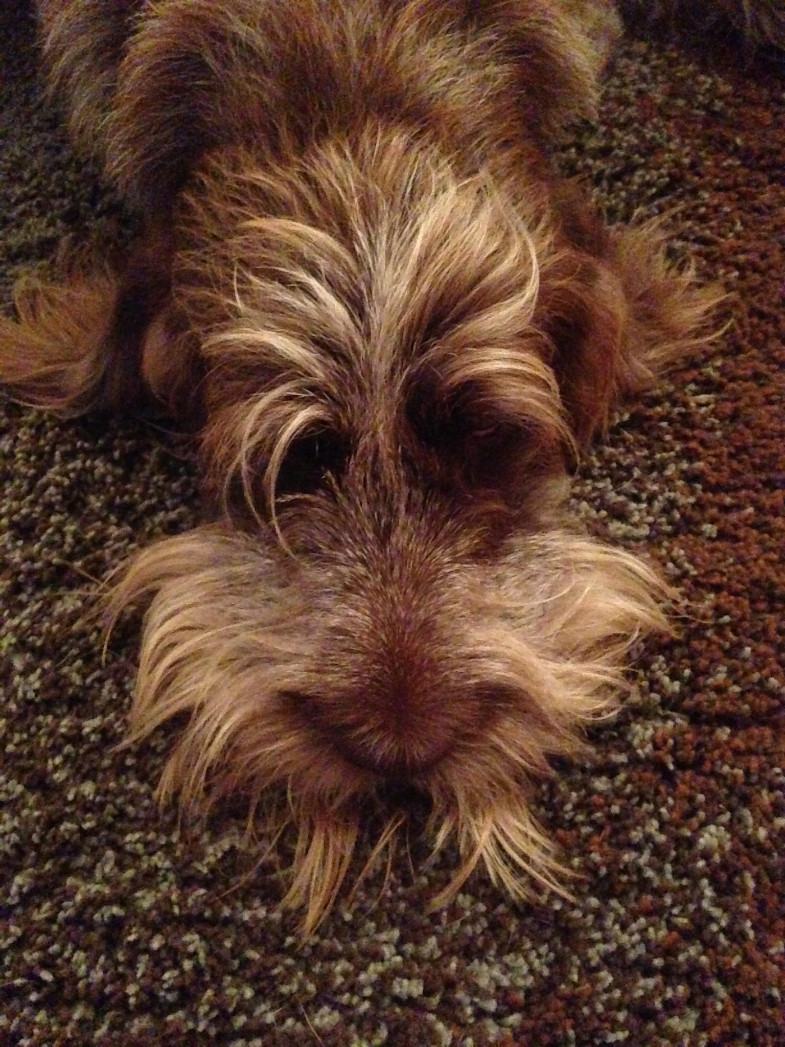 Is it Friday yet? Scrolller