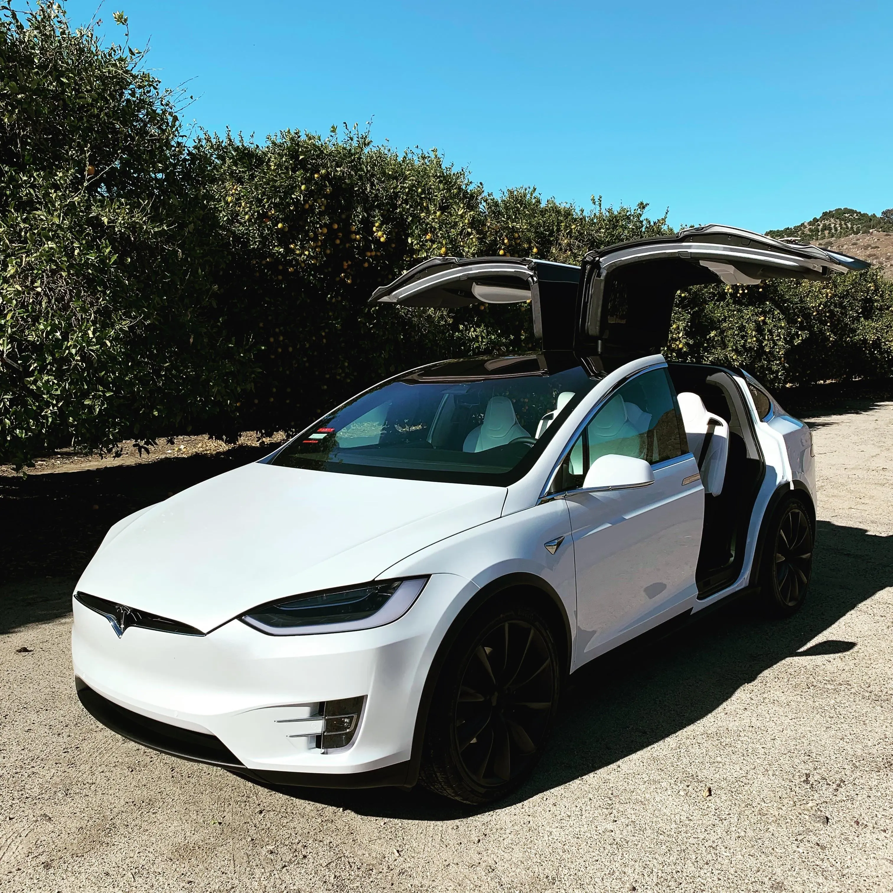Joining the Tesla family | Scrolller