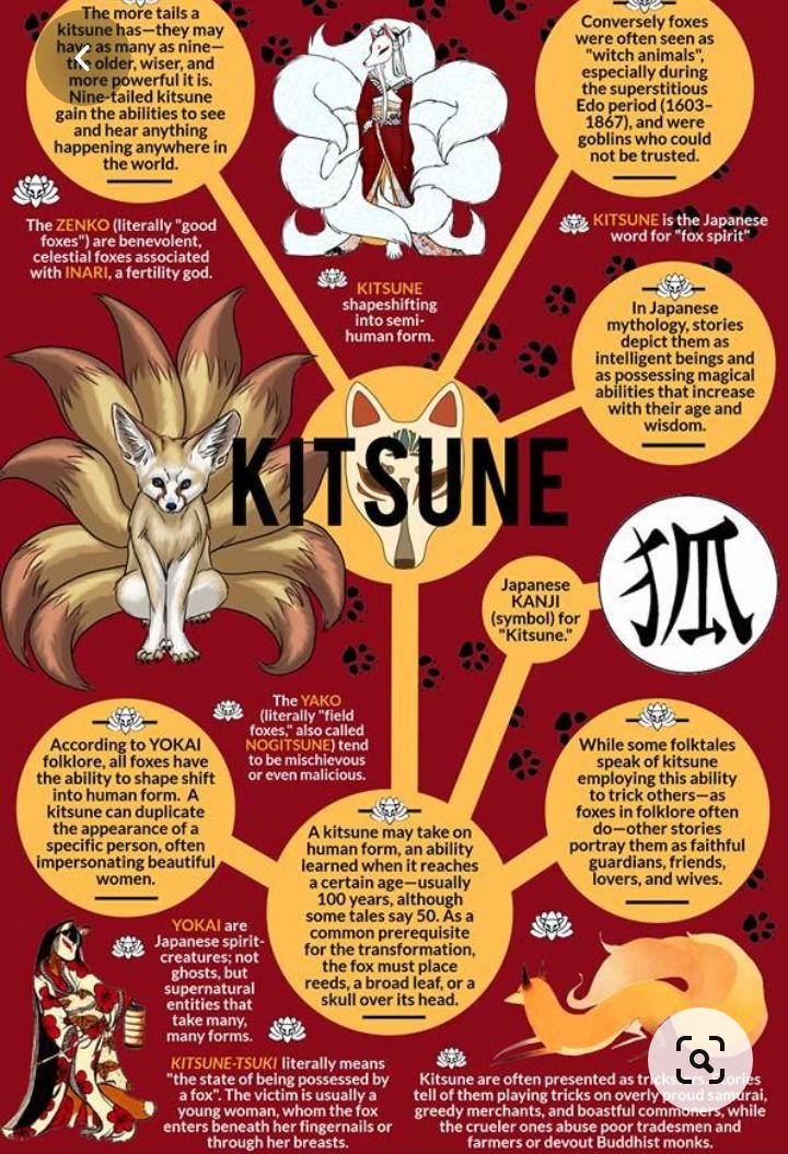 Kitsune Infographic | Scrolller