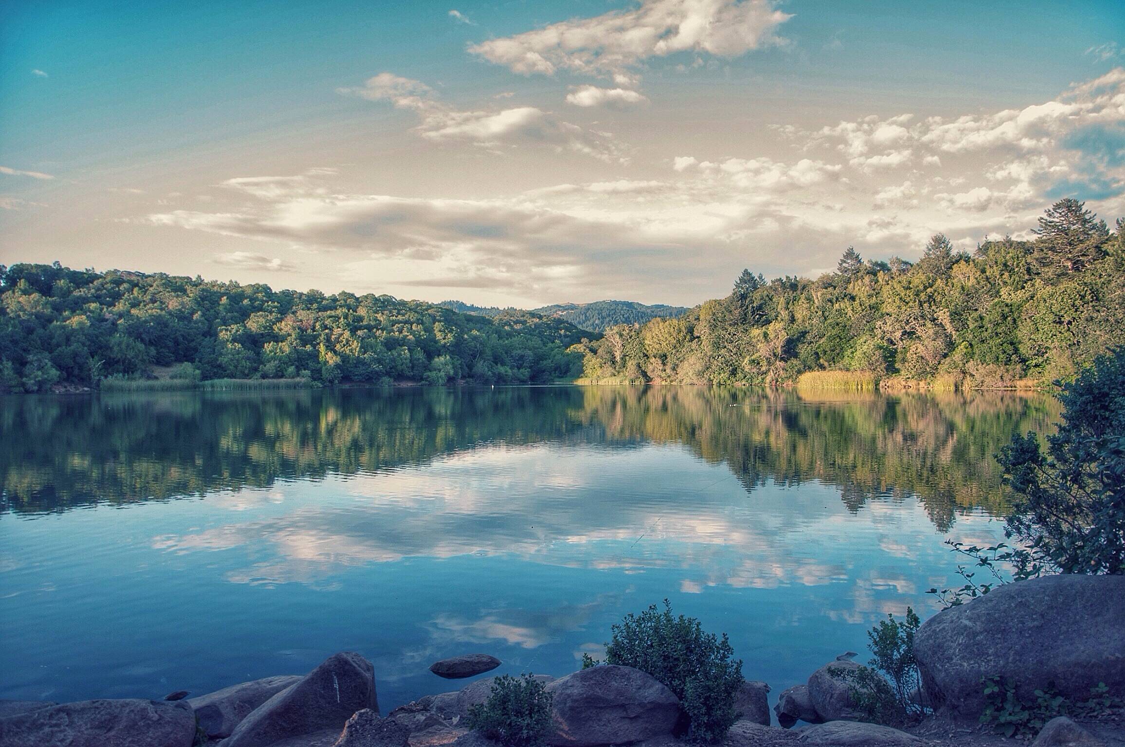 Lake Ralphine in Howarth Park. | Scrolller