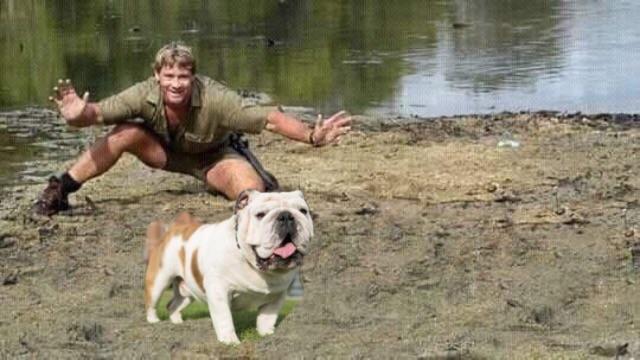 Last known image of Steve Irwin. RIP 😢 🙏 | Scrolller