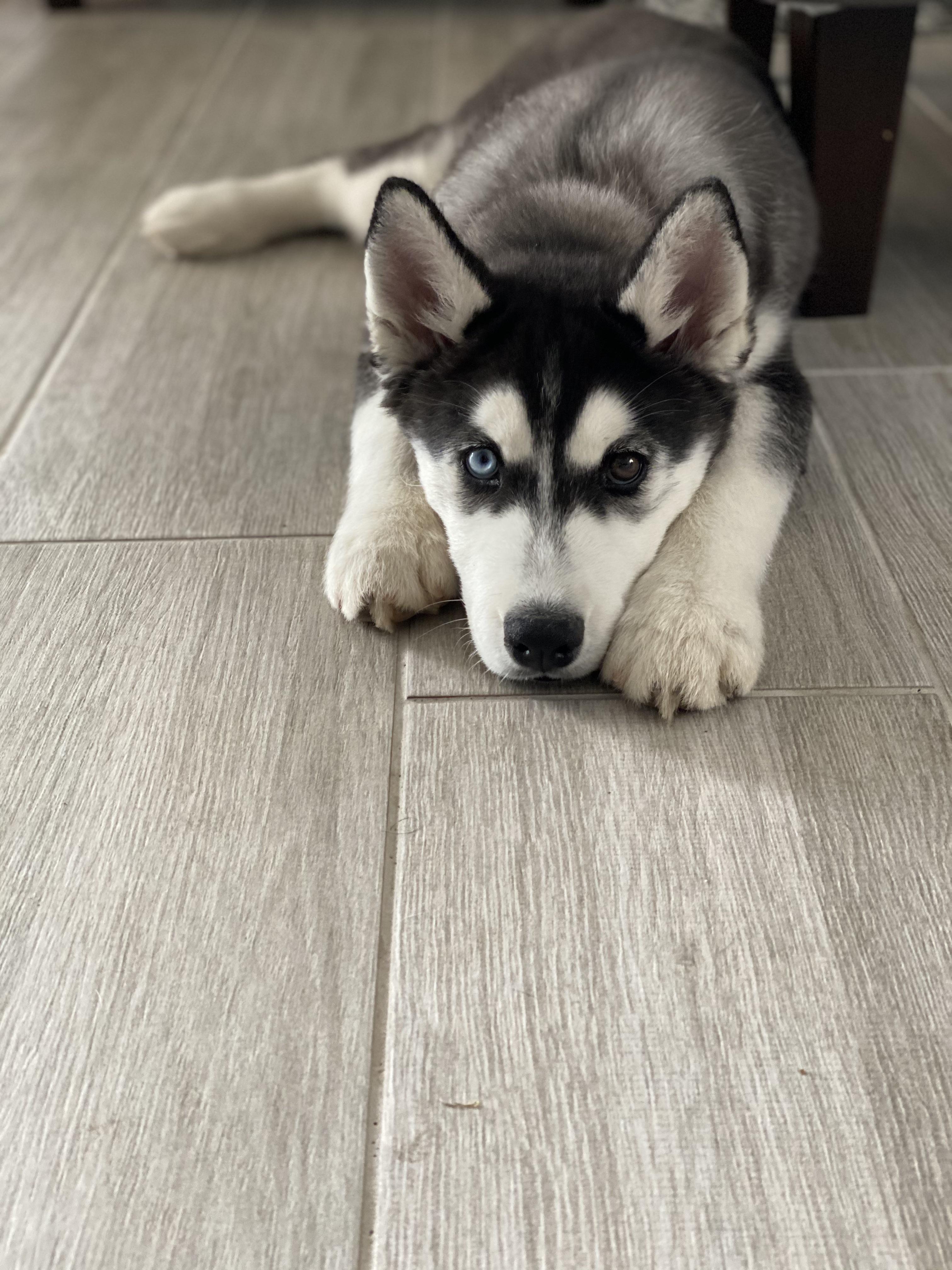 Lazy Sunday Scrolller