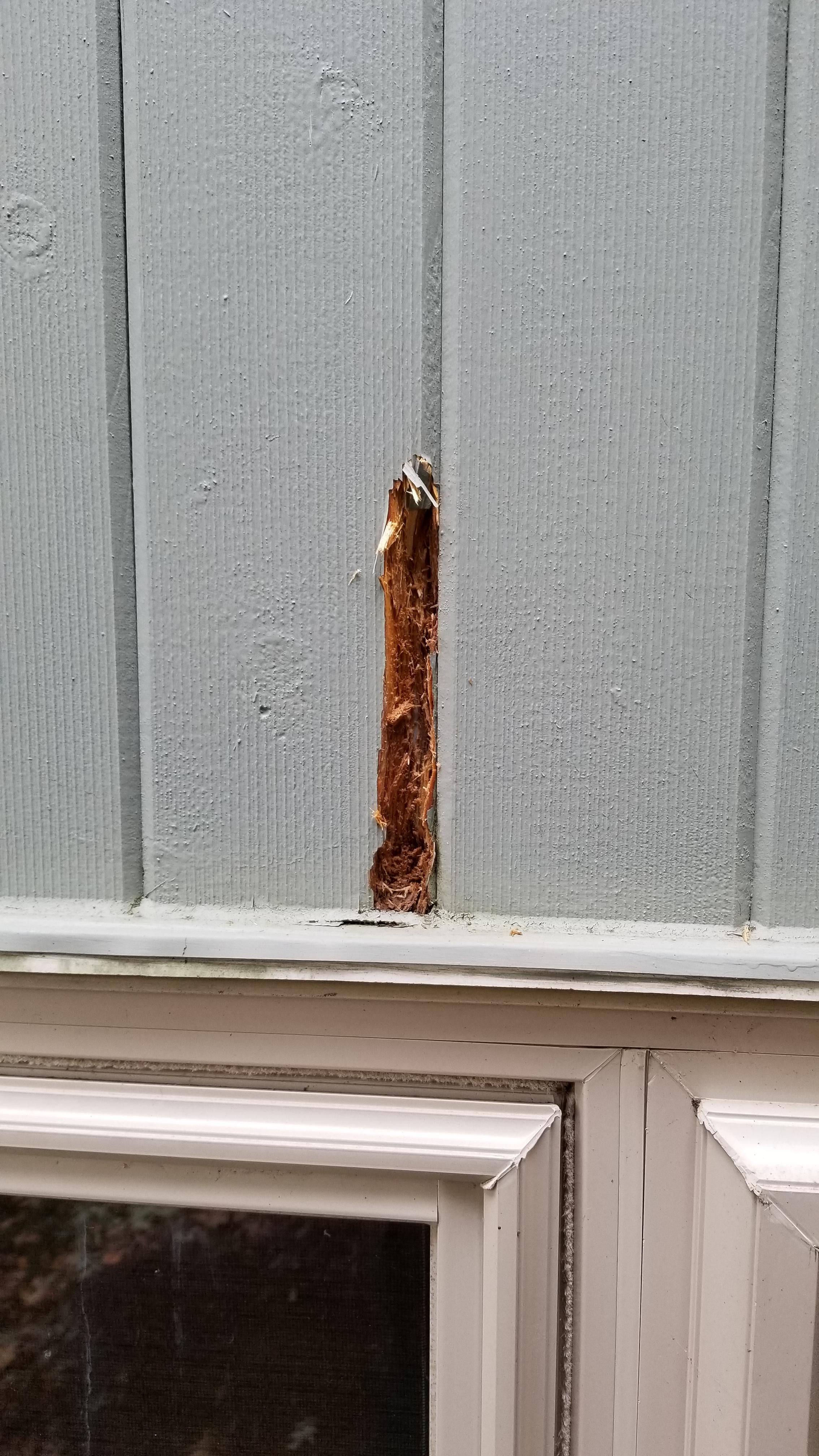 Leaking window/wood siding advice? Scrolller