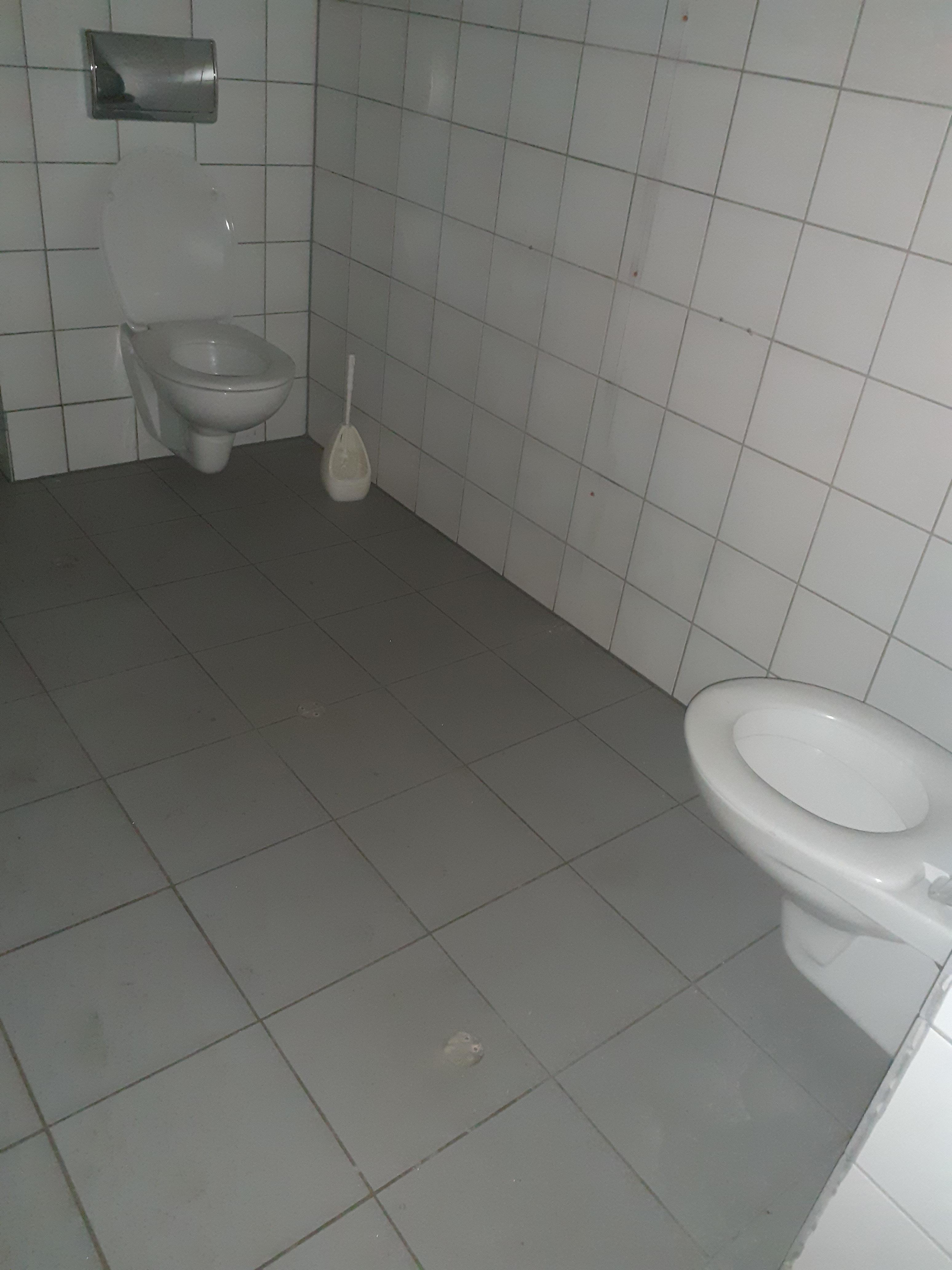Lets have a pooping contest | Scrolller